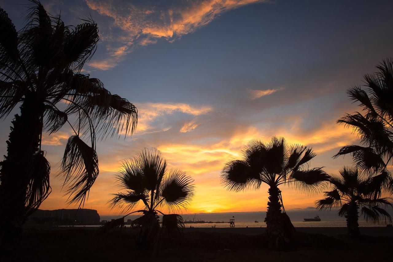 Novotel Arica Bagian luar foto